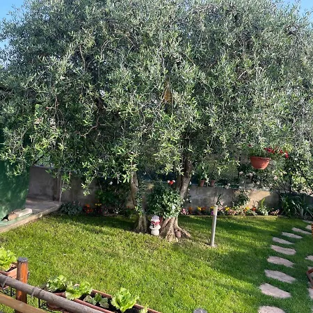 Collina Del Holiday home Pastrengo